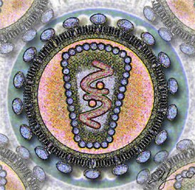Стилизованное изображение вириона