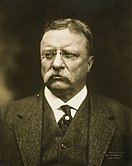 Theodore Roosevelt, al 26-lea președinte al Statelor Unite