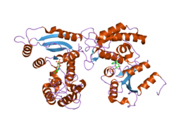 2hct: Acidic residues at the active sites of CD38 and ADP-ribosyl cyclase determine NAAPD synthesis and hydrolysis activities