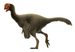 Oviraptor Restoration.png
