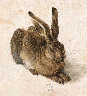 Durer Young Hare.jpg