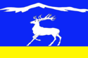 Flag of Tandinsky District