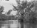 Murray River at Pinjarra Bridge c.1900-1910