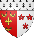 Saint-Avé címere