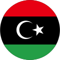 Free Libyan Air Force (2011–2014)