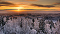 11. Az észtországi Karula Nemzeti Park télen (javítás)/(csere)