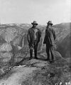 Image 14Roosevelt and Muir on Glacier Point in Yosemite National Park (from Conservation biology)