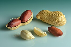 Peanuts (Arachis hypogaea) - in shell, shell cracked open, shelled, peeled.jpg