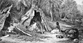 Image 28Indigenous Australian camp by Skinner Prout, 1876 (from History of agriculture)