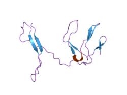 1zk9: NF-kB RelB forms an intertwined homodimer