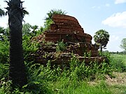 Overgrown ruins of a stupa