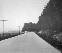 "A black and white photo of a cement roadway taken from its centre. To the left of the roadway are telephone poles; a cleared field is visible on the left. To the right of the roadway is a row of mature evergreen trees. There is no traffic in the image"