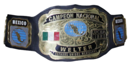 A gold plated championship belt
