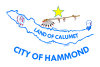 Flag of Hammond