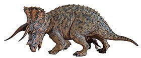 הטריצרטופס חי לפני 68 מ"ש ונכחד בסיום עידן הדינוזאורים לפני 66 מ"ש.